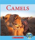 Jennifer Zeiger - Camels