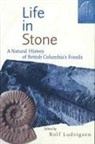 Rolf Ludvigsen - Life in Stone