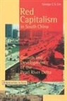 George C. Lin, George C. S. Lin, George C.S. Lin - Red Capitalism in South China