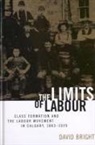 David Bright - The Limits of Labour