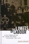 David Bright - The Limits of Labour