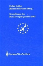 Stefan Griller, Michael Holoubek - Grundfragen des Bundesvergabegesetzes 2002 (f. Österreich)