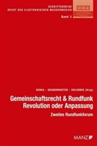 Walter Berka, Christoph Grabenwarter, Michael Holoubek - Gemeinschaftsrecht und Rundfunk- Revolution oder Anpassung