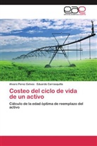 Eduardo Carrasquilla, Alvar Perez Gelves, Alvaro Perez Gelves - Costeo del ciclo de vida de un activo