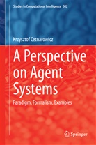 Krzysztof Cetnarowicz - A Perspective on Agent Systems