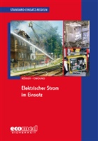 Ulrich Cimolino, Ulrich (Dr.) Cimolino, Hanswerne Kögler, Hanswerner Kögler, Ulric Cimolino (Dr.), Ulrich Cimolino (Dr.) - Elektrischer Strom im Einsatz