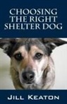 Jill Keaton - Choosing the Right Shelter Dog