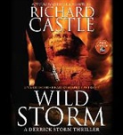 Richard Castle - Wild Storm (Audio book)