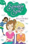 Jill Santopolo - A Picture-Perfect Mess