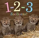 Andrew Bleiman, Andrew/ Eastland Bleiman, Chris Eastland - 1-2-3 Zooborns!