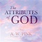 A. W. Pink, Arthur W. Pink, Derek Perkins - The Attributes of God (Audio book)