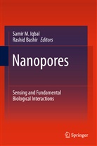 Bashir, Bashir, Rashid Bashir, Samir M. Iqbal, Sami M Iqbal, Samir M Iqbal - Nanopores