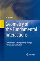 M D Maia, M. D. Maia - Geometry of the Fundamental Interactions