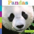 Kate Riggs - Seedlings Pandas