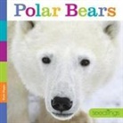 Kate Riggs - Seedlings Polar Bears