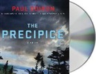 Paul Doiron, Paul/ Leyva Doiron, Henry Leyva - The Precipice (Audio book)