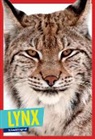 Arnold Ringstad - Lynx