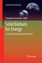 Panagiotis Grammelis - Solid Biofuels for Energy