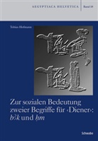 Tobias Hofmann - Zur sozialen Bedeutung zweier Begriffe für Diener: bk und hm