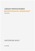 Jürgen Partenheimer - Metaphysische Landschaft