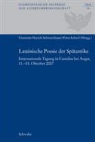 Henriette Harich-Schwarzbauer, Petra Schierl - Lateinische Poesie der Spätantike