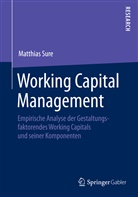 Matthias Sure - Working Capital Management