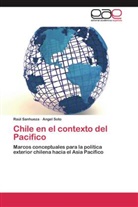 Raú Sanhueza, Raúl Sanhueza, Angel Soto - Chile en el contexto del Pacifico