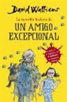 David Walliams - La increíble historia de-- Un amigo excepcional