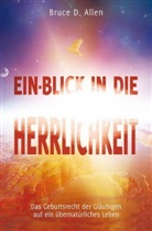 Bruce Allen, Bruce D Allen, Bruce D. Allen - Ein-Blick in die Herrlichkeit