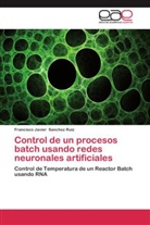 Francisco Javier Sanchez Ruiz - Control de un procesos batch usando redes neuronales artificiales