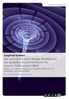 Siegfried Gantert - Die Schwarzschild-de Broglie Modifikation der speziellen Relativitätstheorie für massive Feldbosonen (SBM)