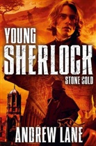 Andrew Lane - Stone Cold