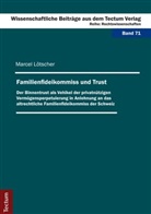 Marcel Lötscher - Familienfideikommiss und Trust