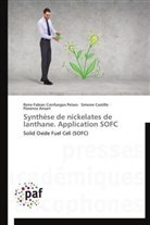 An, Florence Ansart, Simon Castillo, Simone Castillo, Rene-Fabia Cienfuegos Pelaes, Rene-Fabian Cienfuegos Pelaes - Synthese de nickelates de