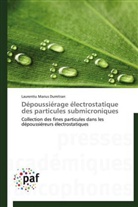 Laurentiu Marius Dumitran, Dumitran-l - Depoussierage electrostatique des