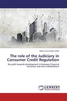 Maria Luiza Kurban Jobim - The role of the Judiciary in Consumer Credit Regulation