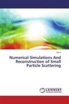 Disi A - Numerical Simulations And Reconstruction of Small Particle Scattering