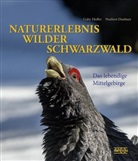 Norbert Daubner, Gab Hufler, Gaby Hufler - Naturerlebnis wilder Schwarzwald