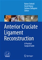 Davi Dejour, David Dejour, Rainer Siebold, Stefano Zaffagnini - Anterior Cruciate Ligament Reconstruction