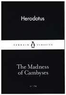 Herodot, Herodotus - The Madness of Cambyses
