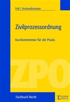 Erich Feil, Elke Kroisenbrunner - Zivilprozessordnung, Kurzkommentar (f. Österreich)