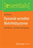 Jörg Wauer - Dynamik verteilter Mehrfeldsysteme