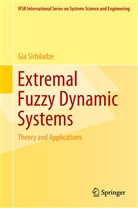 Gia Sirbiladze - Extremal Fuzzy Dynamic Systems