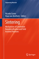 Klaus van Benthem, Ricard Castro, Ricardo Castro, van Benthem, van Benthem, Klaus Van Benthem... - Sintering