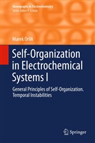 Marek Orlik - Self-Organization in Electrochemical Systems I