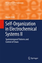 Marek Orlik - Self-Organization in Electrochemical Systems II