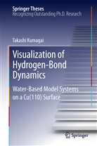 Takashi Kumagai - Visualization of Hydrogen-Bond Dynamics