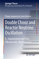 Thiago Junqueira Castro Bezerra, Thiago Junqueira de Castro Bezerra, Thiago Junqueira de Castro Bezerra - Double Chooz and Reactor Neutrino Oscillation