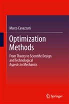 Marco Cavazzuti - Optimization Methods
