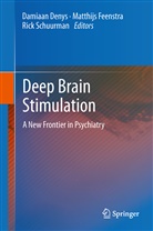 Damiaan Denys, Matthij Feenstra, Matthijs Feenstra, Rick Schuurman - Deep Brain Stimulation